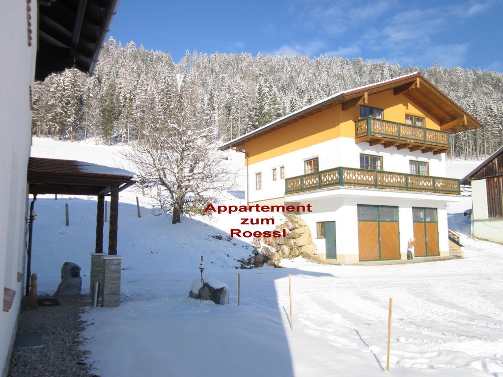 Appartement Zum Roessl 람자우 암 다흐스타인 객실 사진
